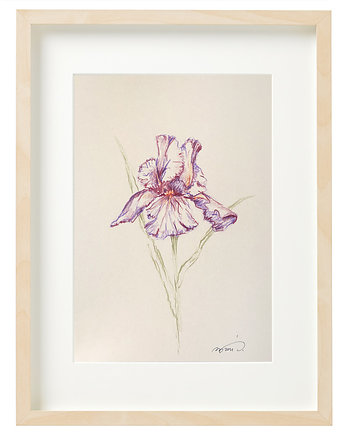 Iris III / ilustracja A4 oryginał, Śmiała Sztuka