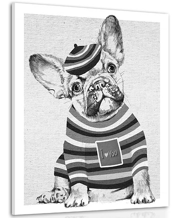 OBRAZ NA PŁÓTNIE-  pies buldog 60x80cm, LUdesign gallery