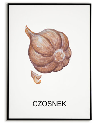 Plakat  GRAFIKA CZOSNEK warzywa obraz ZIOŁA, Bajkowe Obrazki