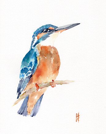 Oryginalna akwarela. Zimorodek, alquadro