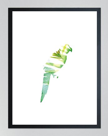 PAPUGA 1- poster, 50x70 cm, KOKO by HOKO