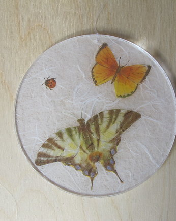 Motyle, Iwona Rutkowska
