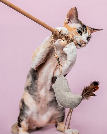 Wędka WILD CAT z ptaszkiem BIRD, THE MISS CAT
