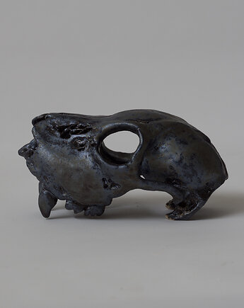 Ceramiczna Czaszka, ar studio