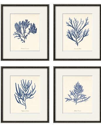Zestaw 4 grafik  koralowiec reprodukcja morskie, Victorian wall art