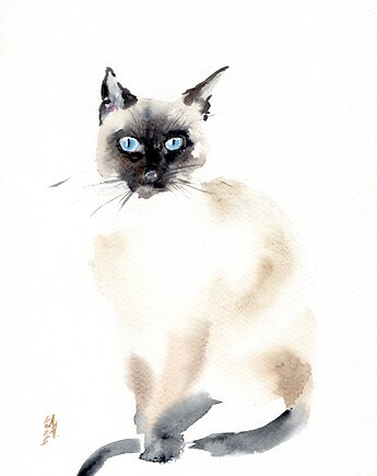 Oryginalna akwarela. Kot, alquadro