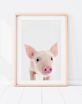 Plakat Świnka - Plakat do pokoju dziecka, LOVINA PRINTS