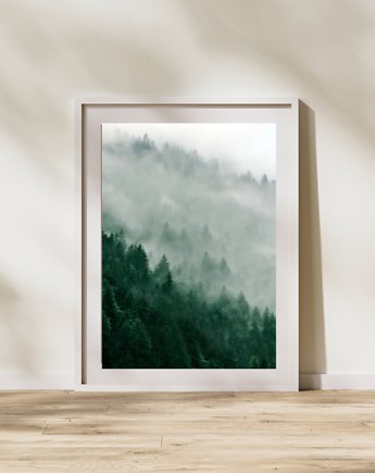 PLAKAT las we mgle zdjęcie lasu zielony, black dot studio