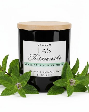 Świeca zapachowa z wosku oliwnego Las Tasmański, Oyasumi