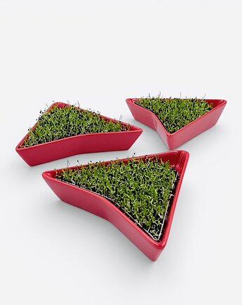 Zestaw 3  kiełkowników w kolorze czerwonym + BIOZIARNA, Kiełkowniki