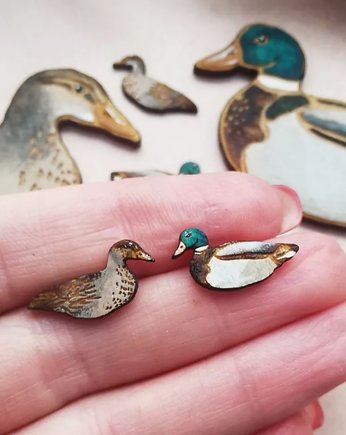 Kaczki malowane większe, DWUKROOPEK