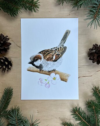 Plakat z wróbelkiem, mavipoppy art