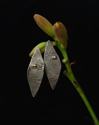 Kolczyki srebrne TERRA No. 1, Kamaryd