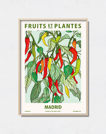 Plakat botaniczny "Madryt", Pas De LArt