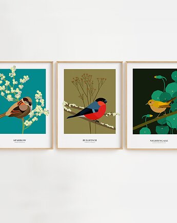 Ptaki Zestaw 3 Plakatów 30 x 40 cm, JUSTYNA WIĘSEK ART