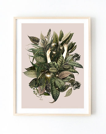 Plakat Fireflies  A3, Anita Tomala