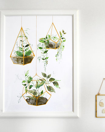 ilustracja botaniczna | 50x70 cm, Anita Tomala