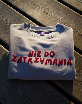 Bluza dziecięca NIE DO ZATRZYMANIA - szara, Wear Your Journey