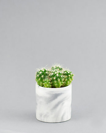 MINI doniczka na kaktusa 6 cm, GREEN FEVER Concrete Decor
