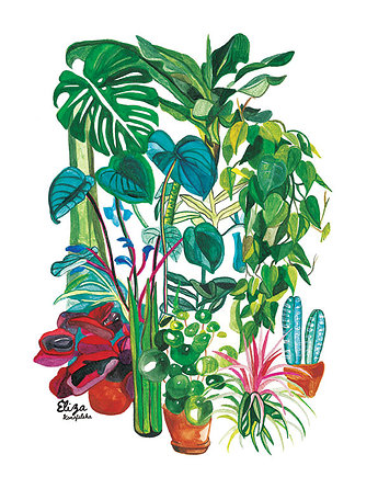 Plakat dla Hodowcy Roślin, Eliza Konofalska
