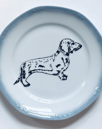 Jamniczek domowy mały, arent plates