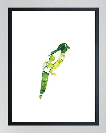 PAPUGA 2- poster, 50x70 cm, KOKO by HOKO