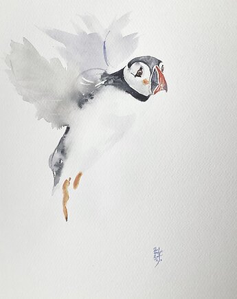 Oryginalna akwarela. Maskonur, alquadro