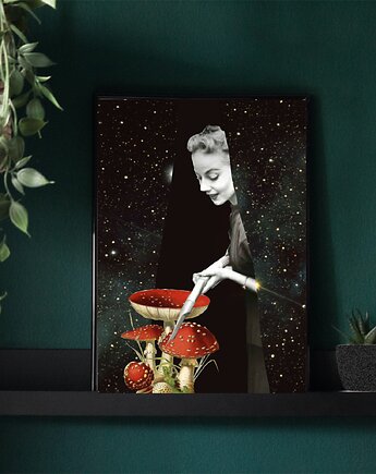 Amanita - plakat, kolaż, Magda Rzeźniczak