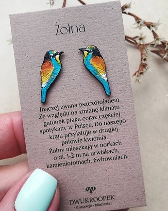 Żołny malowane, DWUKROOPEK