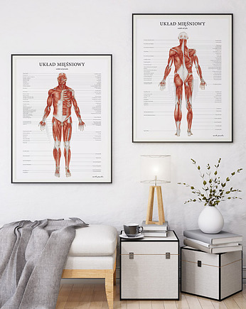 Plakat Mięśnie Człowieka, Marta Pawelec Medical Art