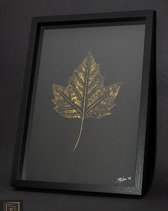 Autorska Grafika Botaniczna. Plakat Złoty Liść Platan Klonolistny A4, Kuźnia Obrazów