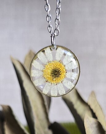 Wieczny kwiat stokrotka wisiorek zawieszka, zkwiatem