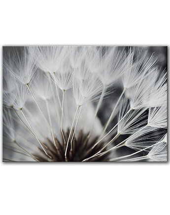 Obraz na płótnie - 100x70 cm - Dmuchawiec (1-0632), raspberryEM