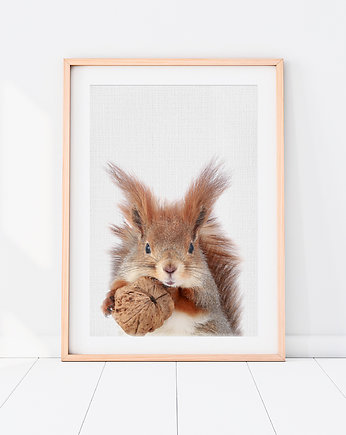 Plakat Wiewiórka - Plakat do pokoju dziecka, LOVINA PRINTS