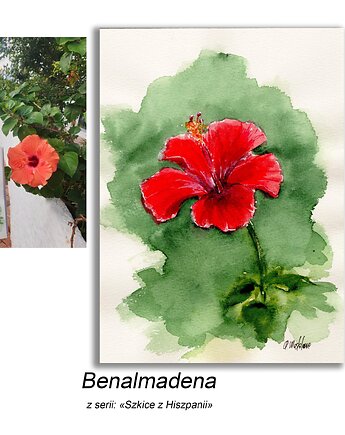 Obraz ręcznie malowany  Hiszpania Hibiskus, Galeria Alma