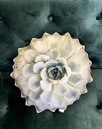 Poduszka Mały Jasny Sukulent Echeveria Poduszkownia, poduszkownia