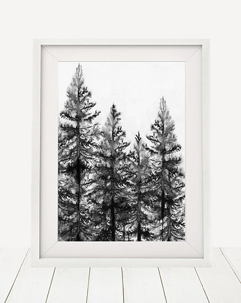 LAS  30x40 cm, Anita Tomala