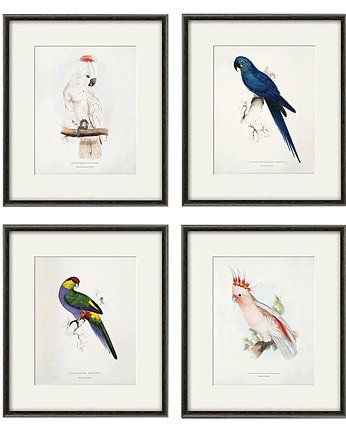 Zestaw 4 grafik  ptaki   reprodukcja papuga, Victorian wall art