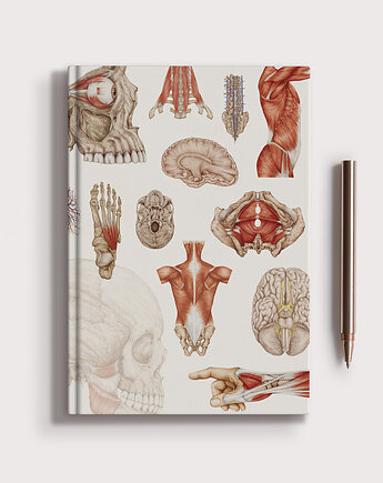 Notes Anatomiczny B5, Marta Pawelec Medical Art