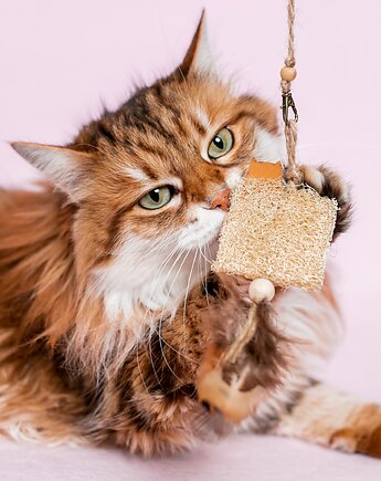 Wędka WILD CAT z zawieszką LOOFAH, THE MISS CAT
