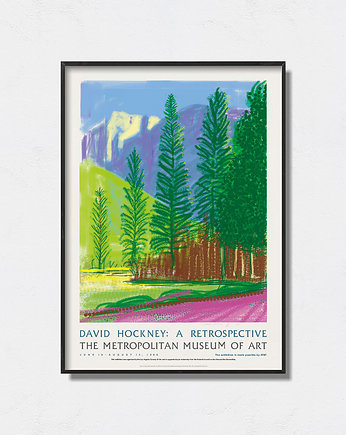 David Hockney - Exhibition Poster, Pas De LArt