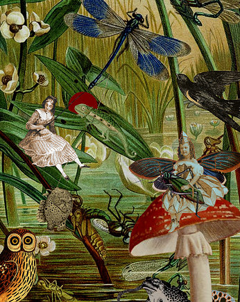 Amanita muscaria -  Kolaż - plakat - wydruk, Magda Rzeźniczak