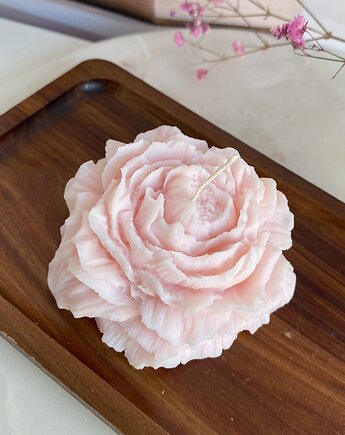 Świeca sojowa dekoracyjna "Peony Queen" 75x35mm różowa, Coccola JEWELLERY