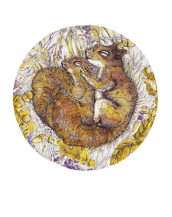 Wiewiórka Valentina - Grafika - Ilustracja na ścianę, BOSKE