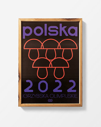 Plakat igrzybska olimpijskie polska 2022, Justyna Frąckiewicz