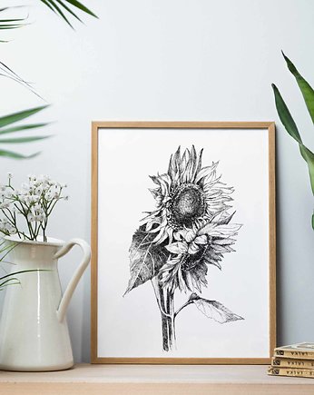 Słoneczniki 50x70 - grafika botaniczna, beata sketches