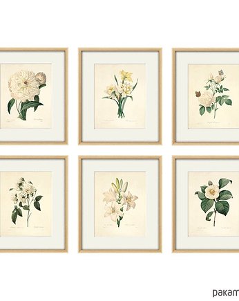 Plakat Oferta  specjalna, Victorian wall art