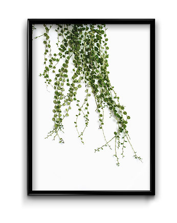 Plakat Zieleń #6 , Bury Lis