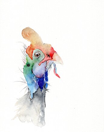 Oryginalna akwarela. Indyk, alquadro