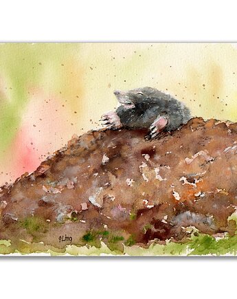 Kret. Akwarela ręcznie malowana, Galeria Alma